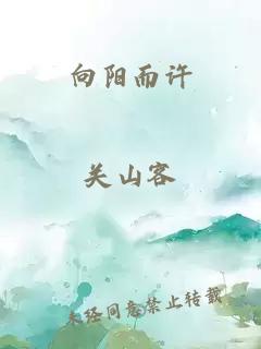向阳而许