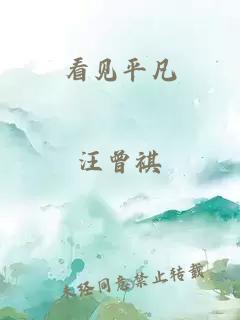 看见平凡