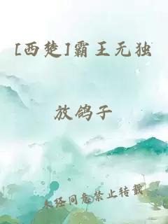 [西楚]霸王无独
